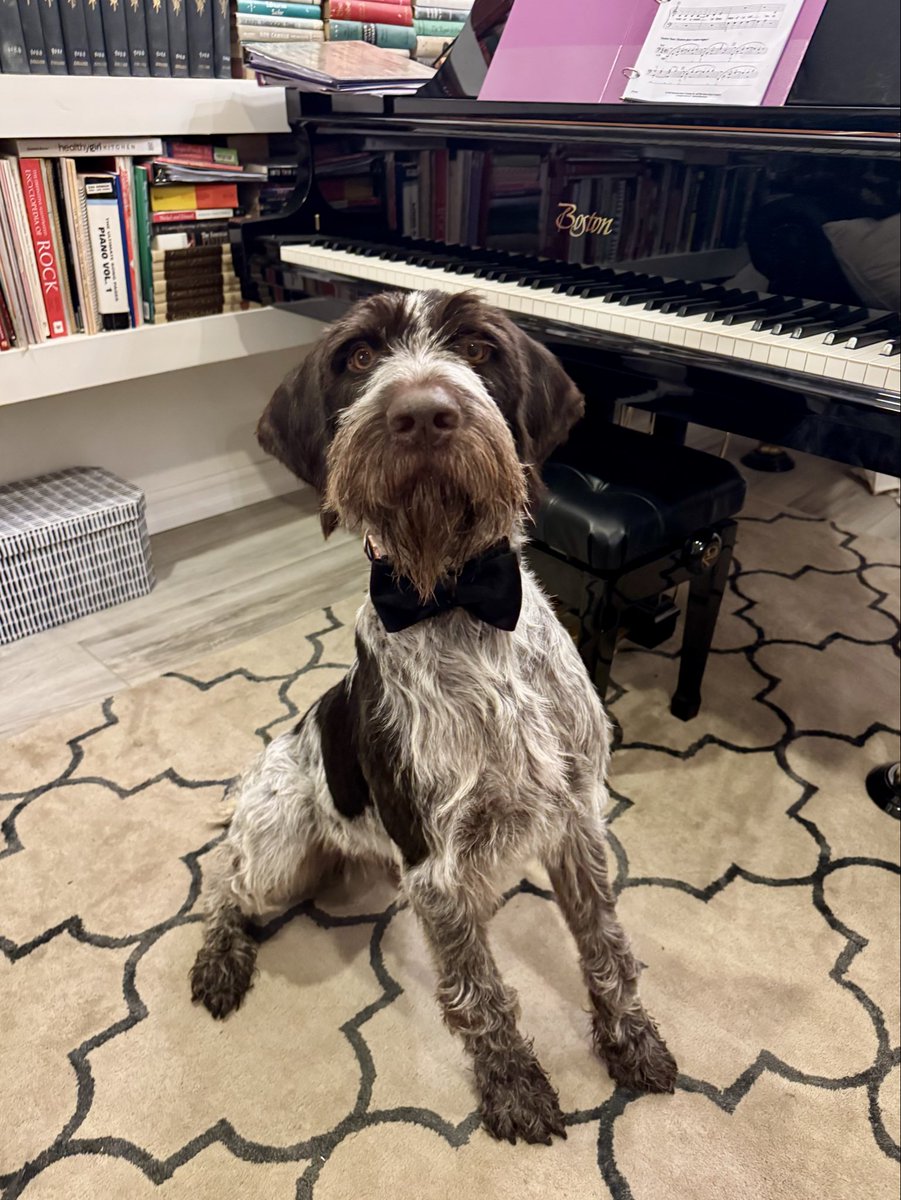 Prestage tweet media