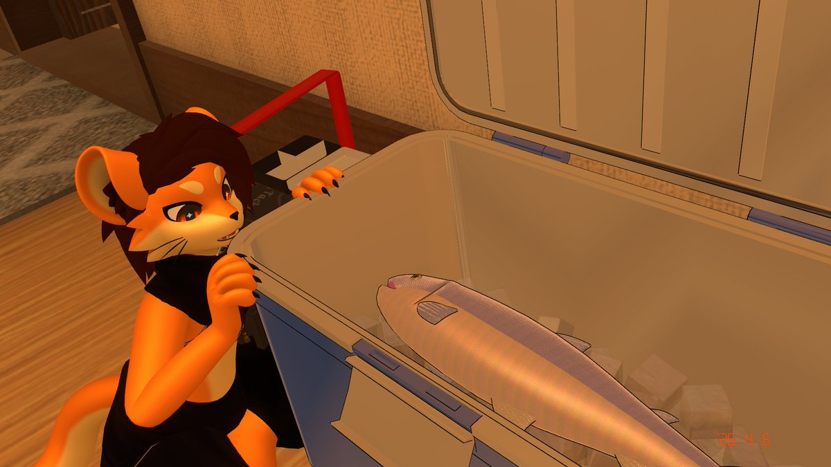 Misotaro🐾 tweet media