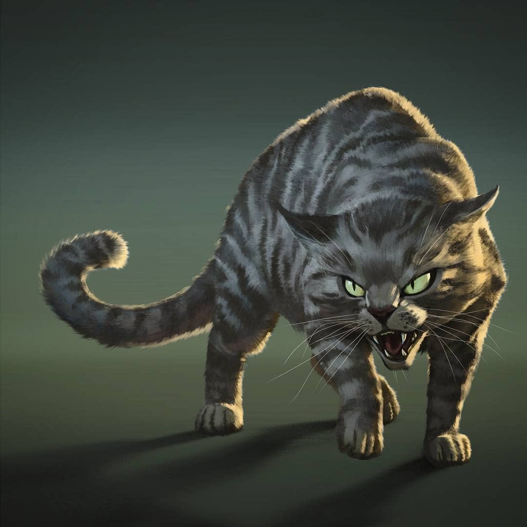 Mac Smith tweet media