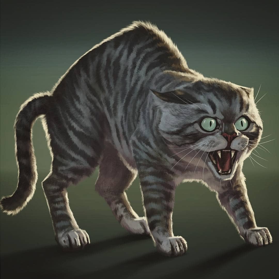 Mac Smith tweet media