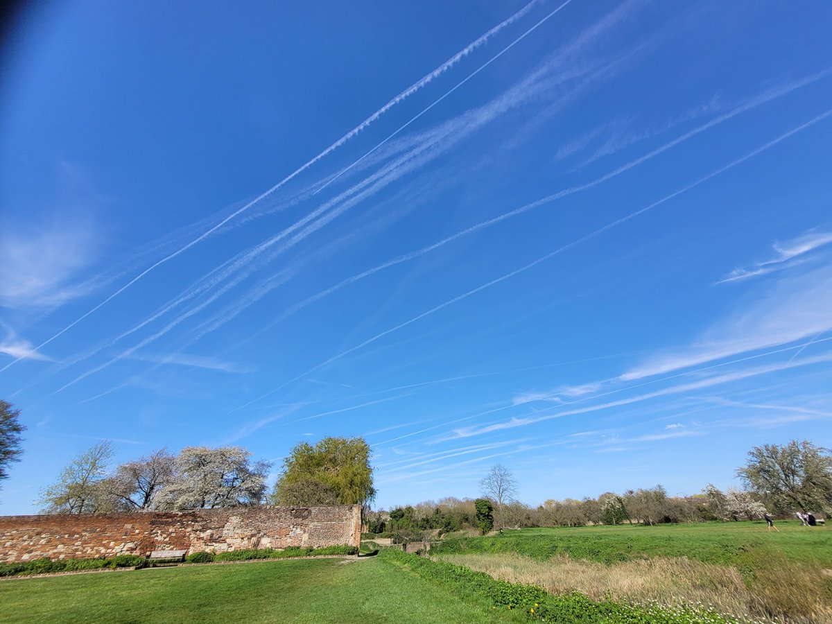 Little fish in a big XRPond 🏴‍☠️ tweet media