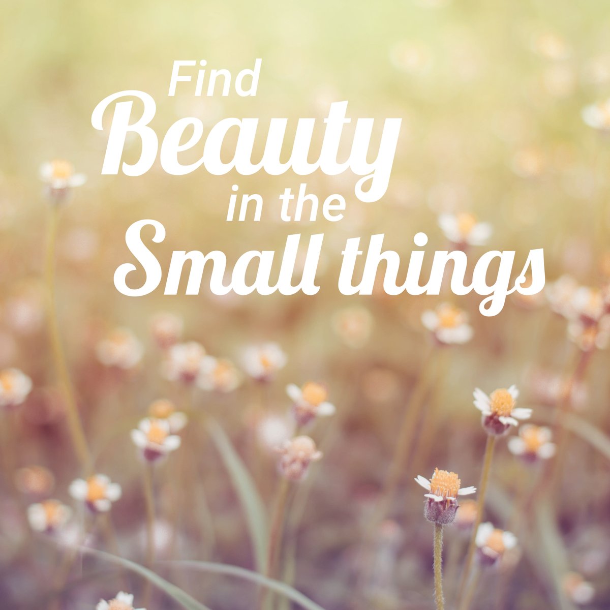 shortcutshari's tweet photo. Find beauty in the small things Keep going. Progress is built one step at a time. #MotivationMonday #emPOWERd https://t.co/IDtEJEtJbo