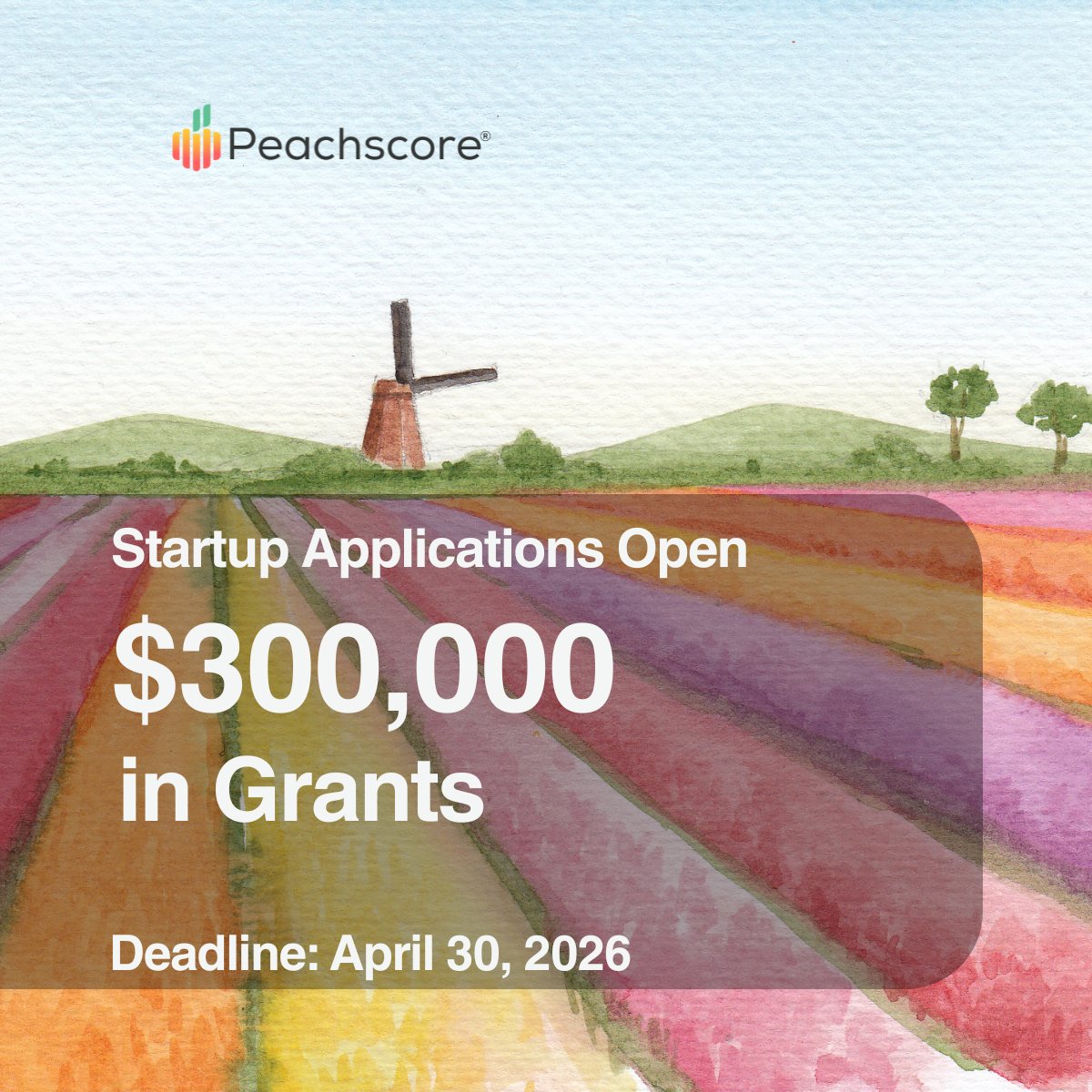 Peachscore tweet media