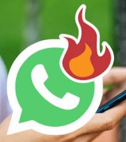 La putita de zuazua tweet media