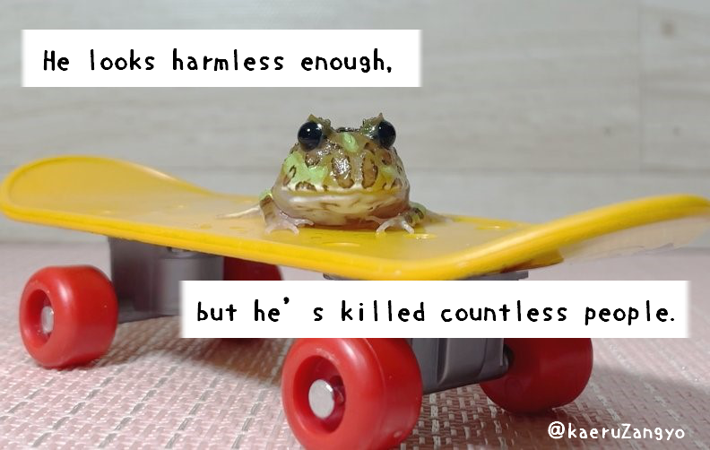 🇯🇵かえる 🇺🇸Frog tweet media