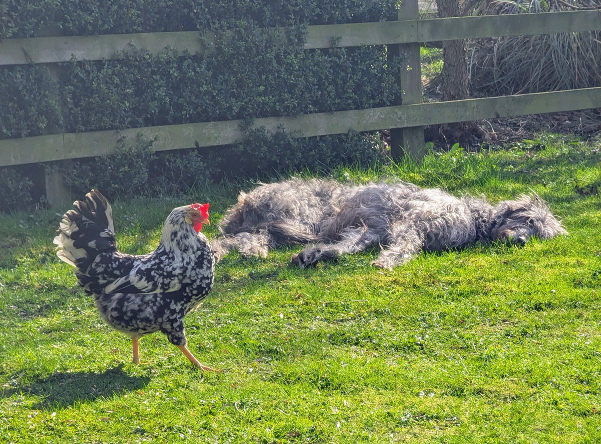 Stuart Klinke tweet media