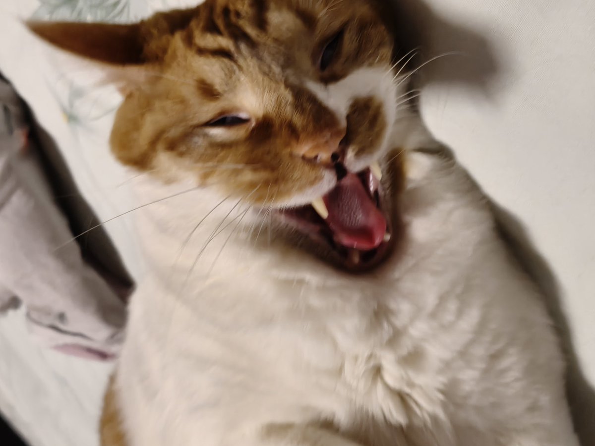 虚荣救赎 tweet media