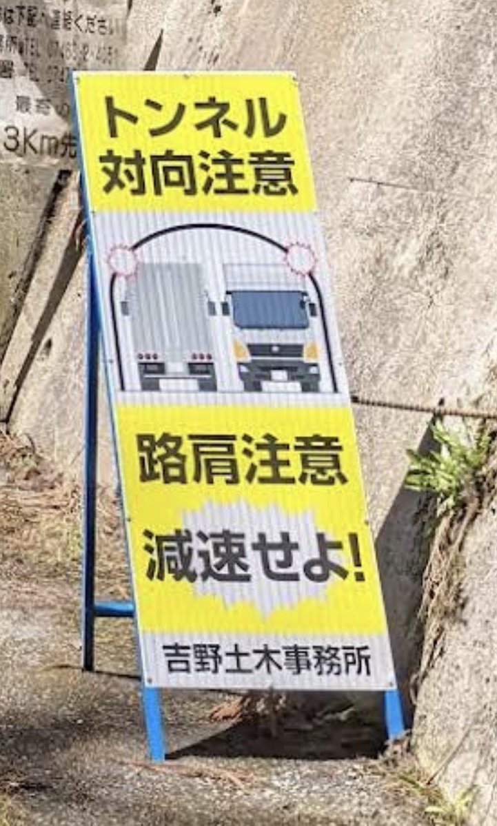 なみ（ち。）🐴 tweet media