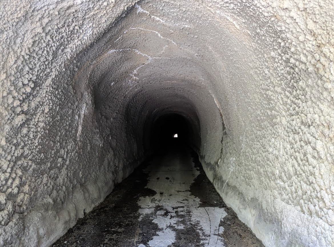 なみ（ち。）🐴 tweet media