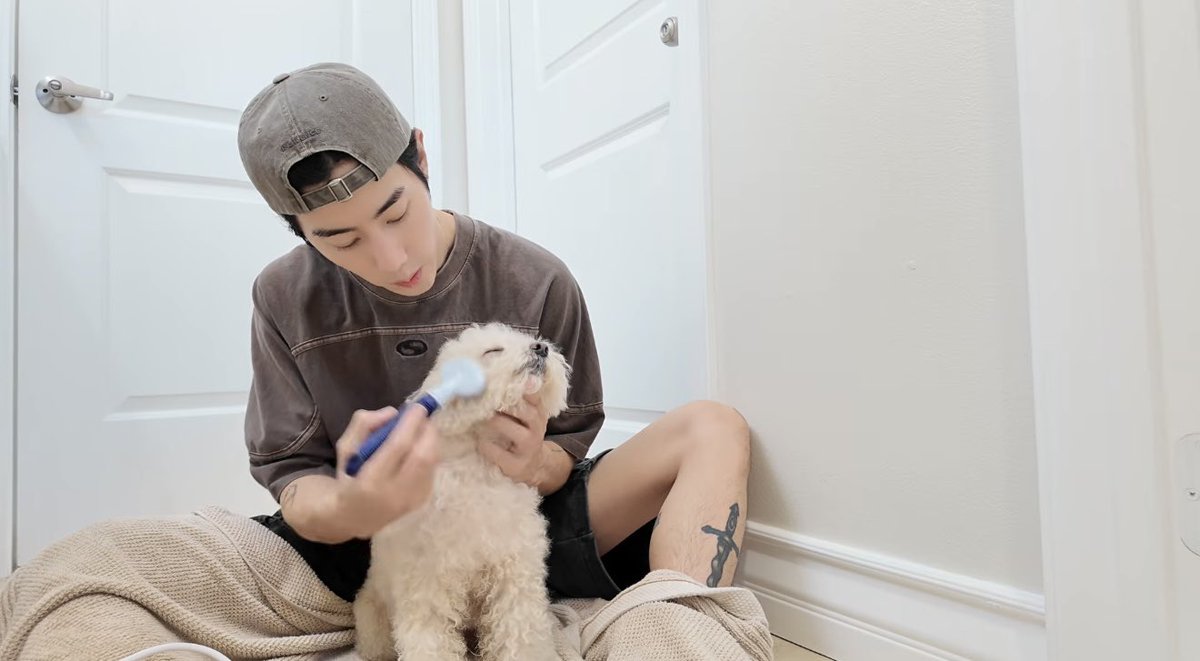 𝖬𝖺𝗒𝖬𝖺𝗋𝗄 ◡̈ ᴹᵀ🌅 tweet media