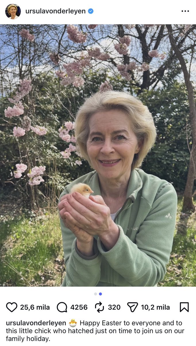 Matteo Gracis tweet media