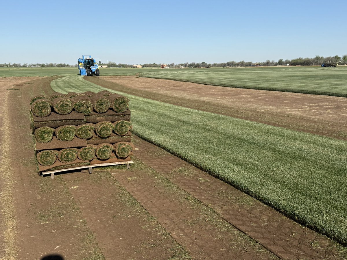 Brad Sherry, sod by sherry inc., tahoma 31 grower tweet media