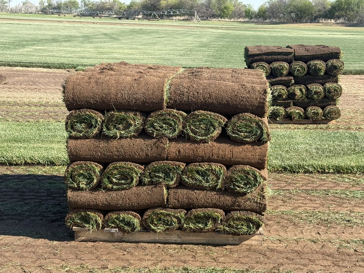 Brad Sherry, sod by sherry inc., tahoma 31 grower tweet media