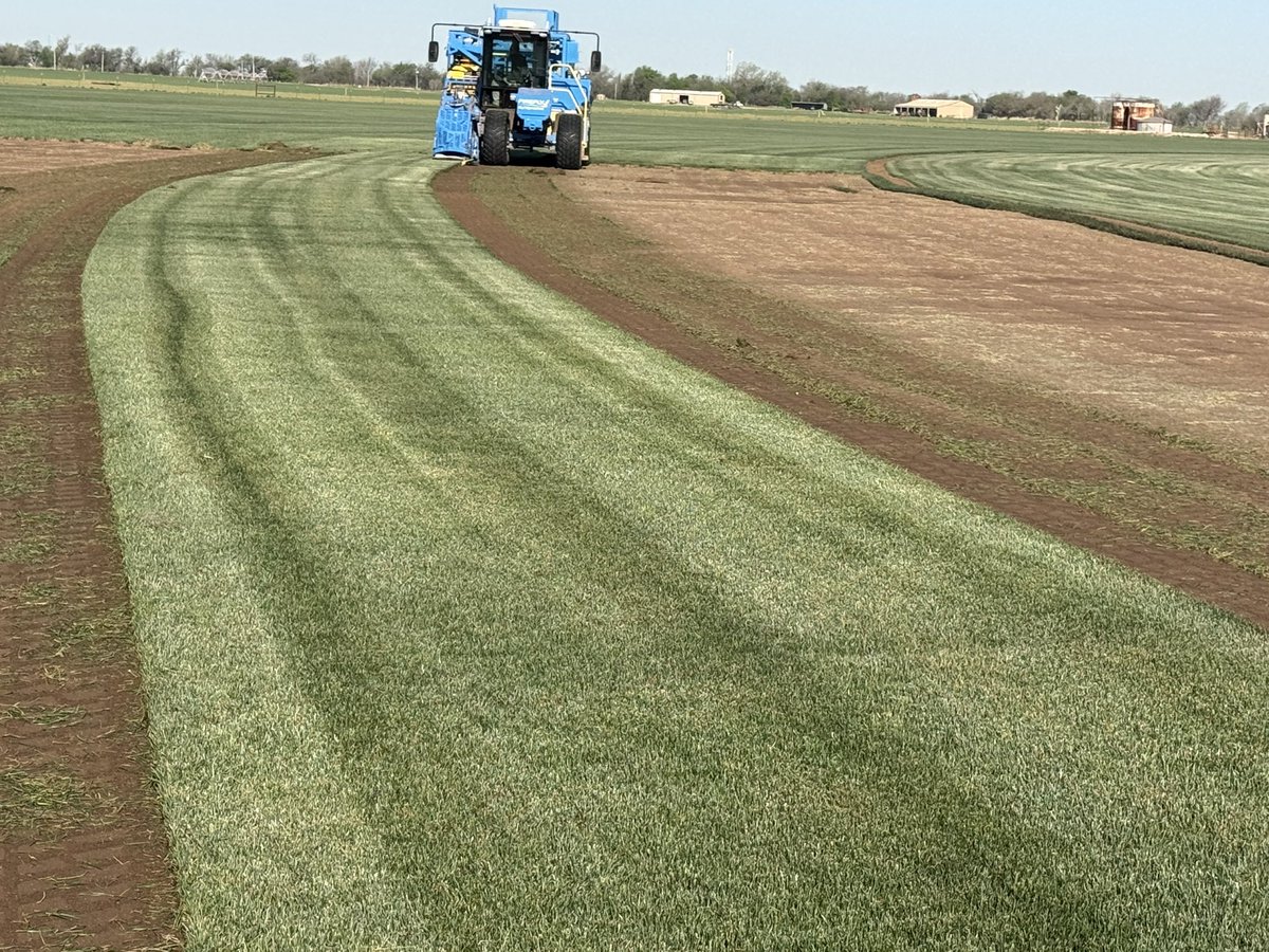 Brad Sherry, sod by sherry inc., tahoma 31 grower tweet media