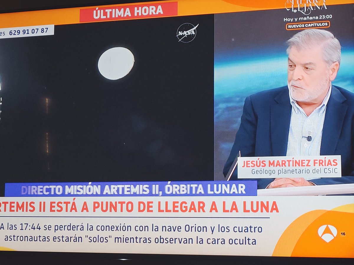 GAREID PROYECTOS tweet media