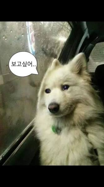 감자다요🫛 tweet media