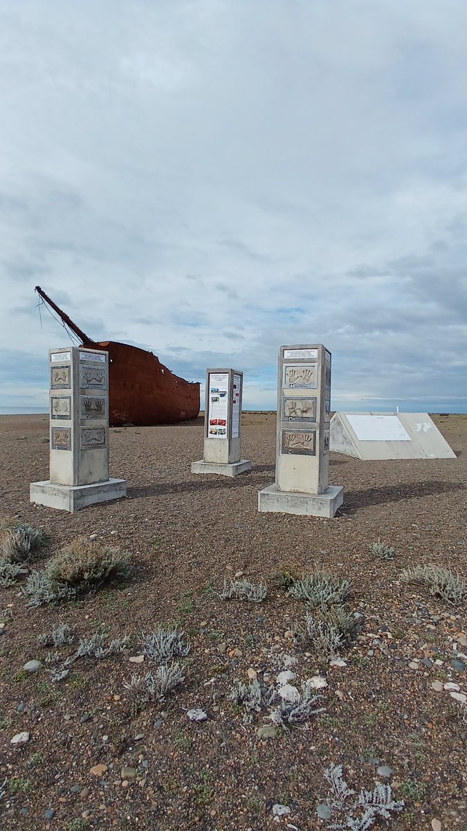 Aviacion Defensa tweet media