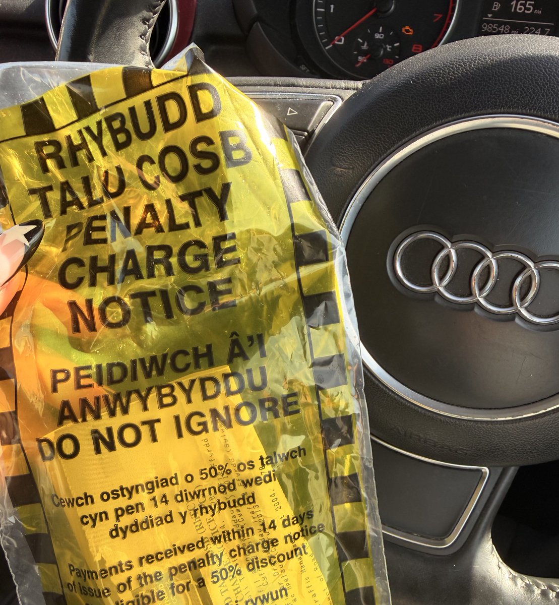 princess mil 🎀🐆 tweet media