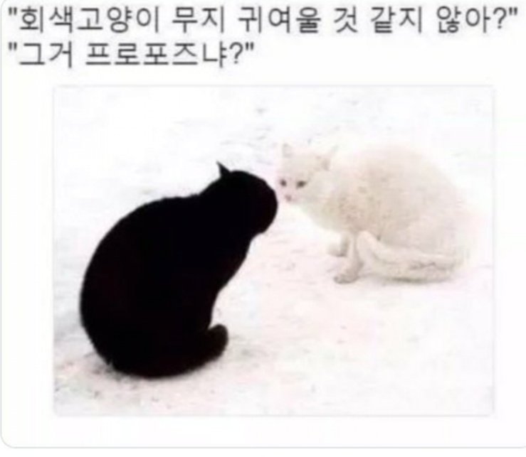 ❤️끄토💚 tweet media