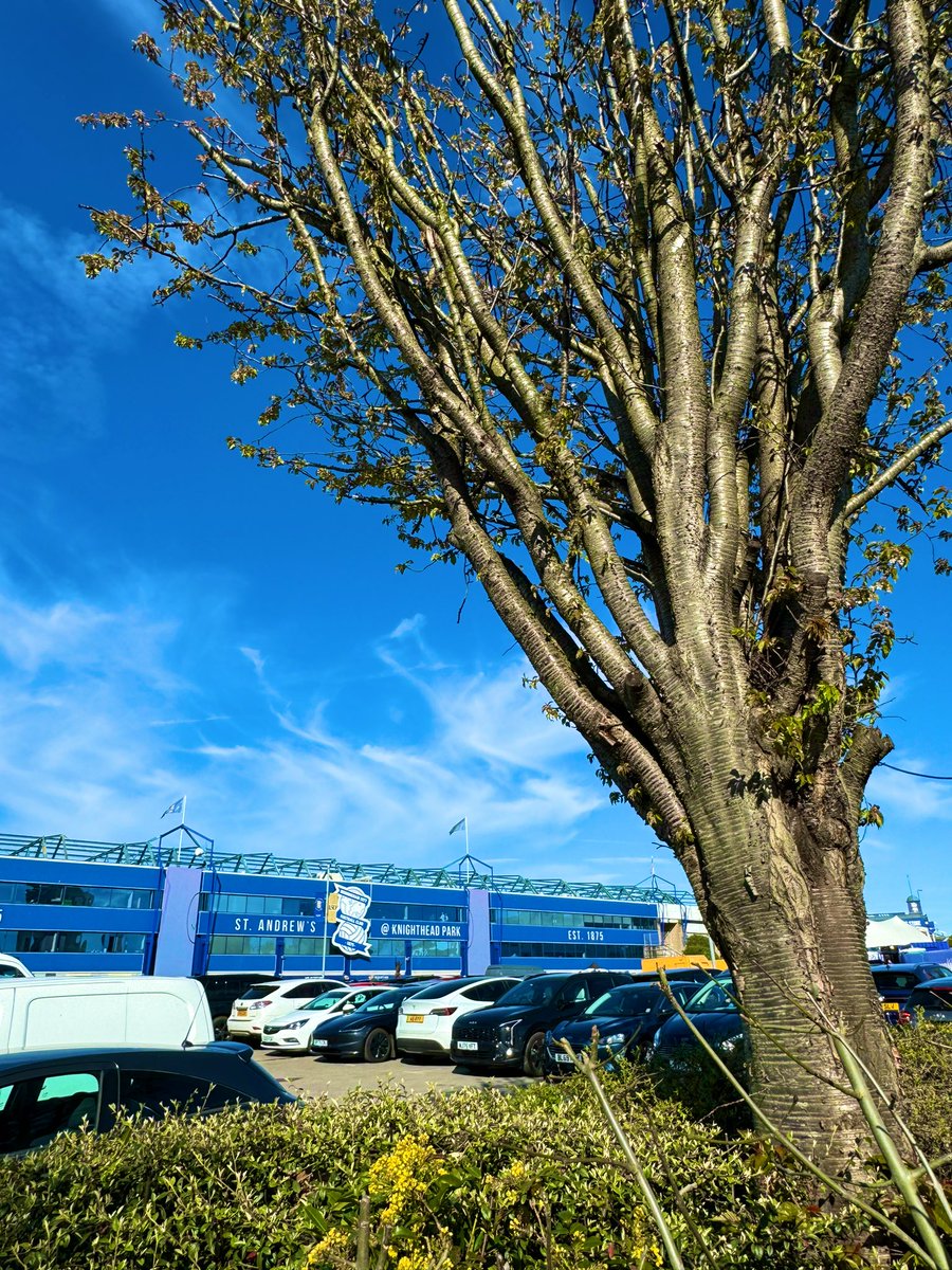 APCAFC's tweet photo. Match #61
Birmingham City Women v Manchester City Women
@AdobeWFACup Quarter Final
St. Andrew’s
#WomensFACup #RoadtoWembley
@MyRoadtoWembley
#Groundhoppping https://t.co/TOlImfKO9S