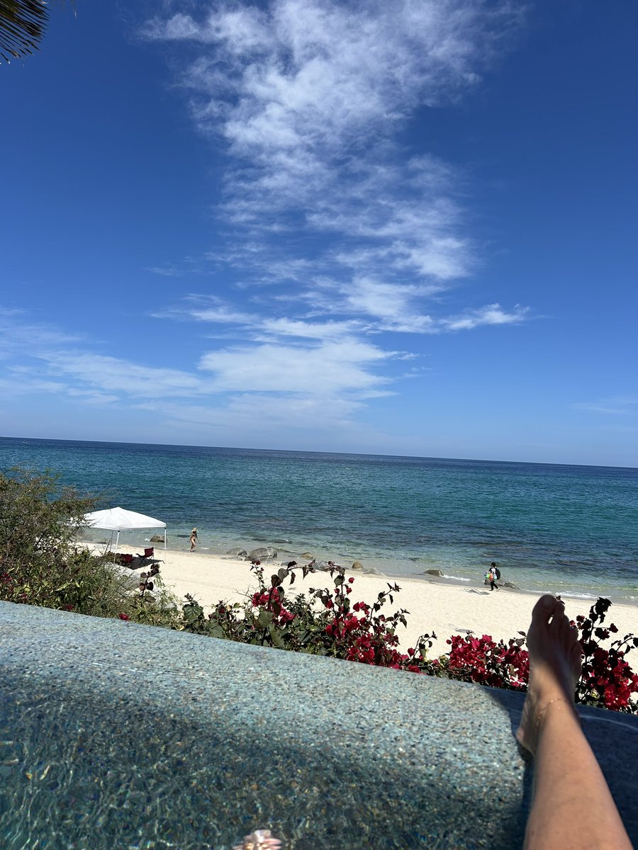 The Boss Lady 🇺🇸🚜✌️ tweet media