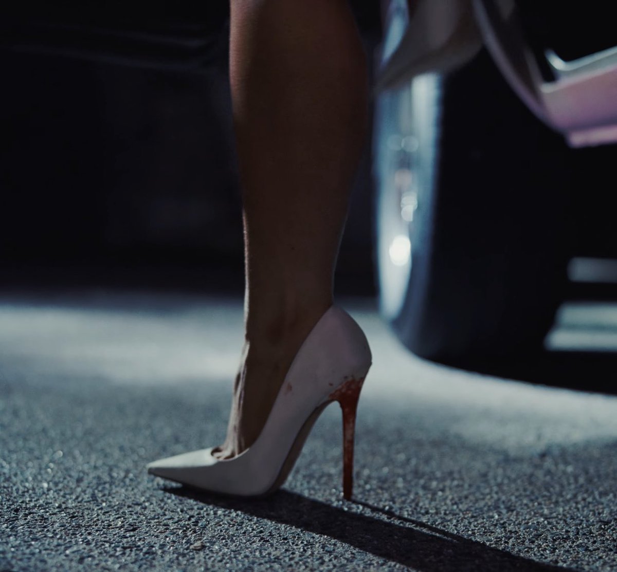 Updates Sabrina Brasil 🐾 tweet media