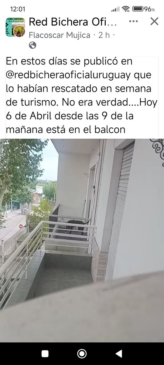 ANIMALISTAS.UY tweet media