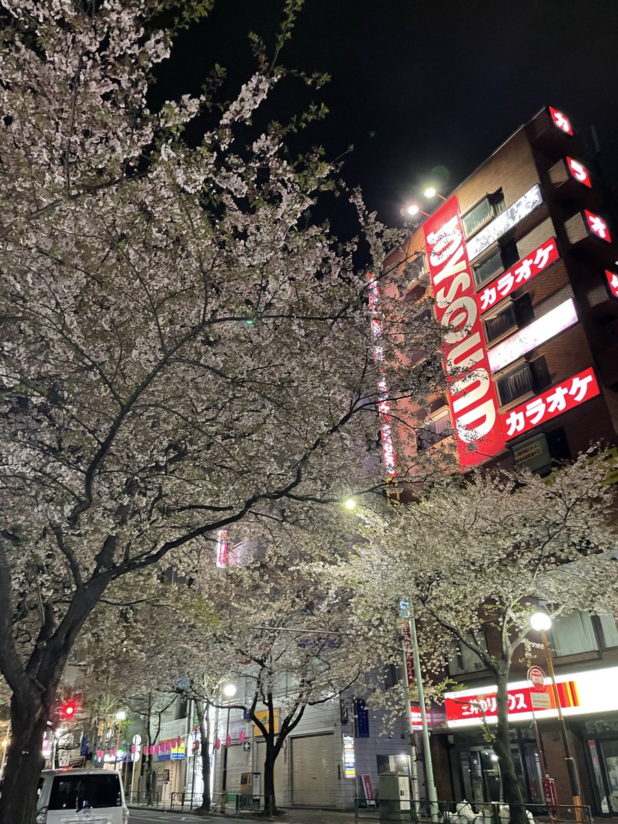 クロメのヒサナリ tweet media