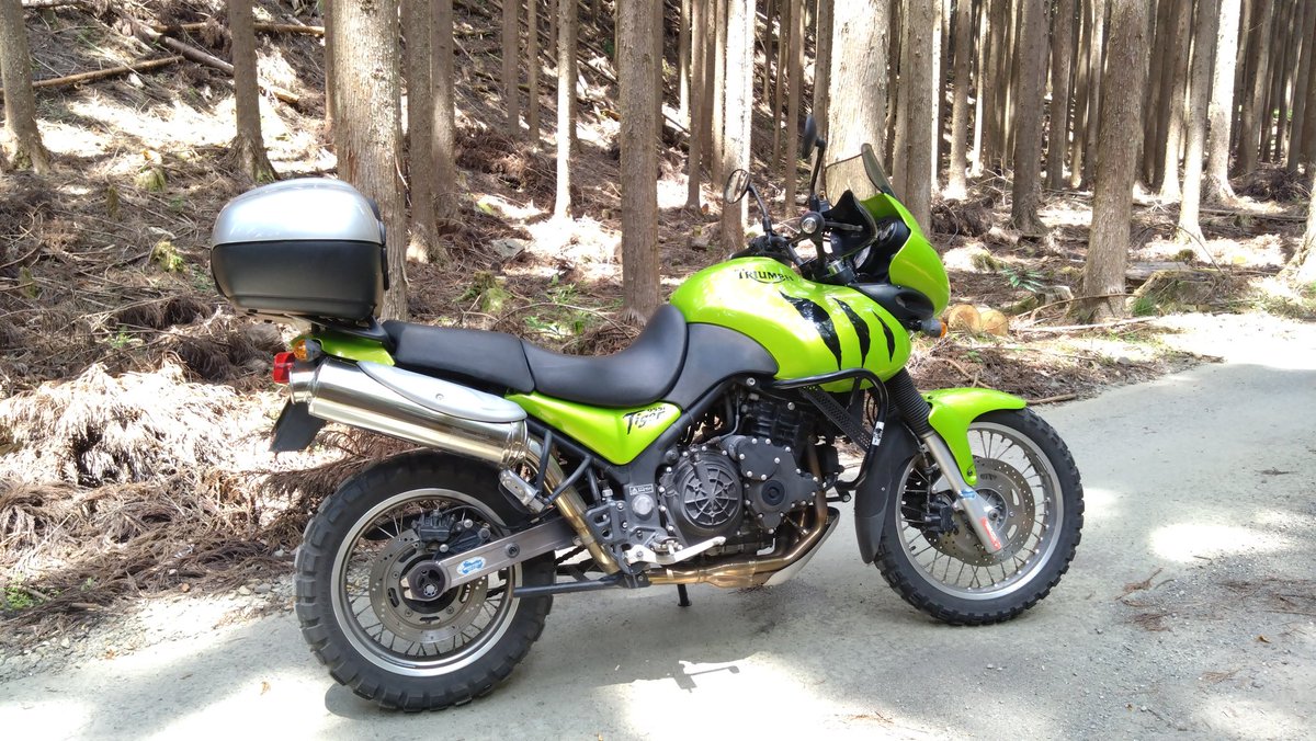 トライアンフ浜松 tweet media