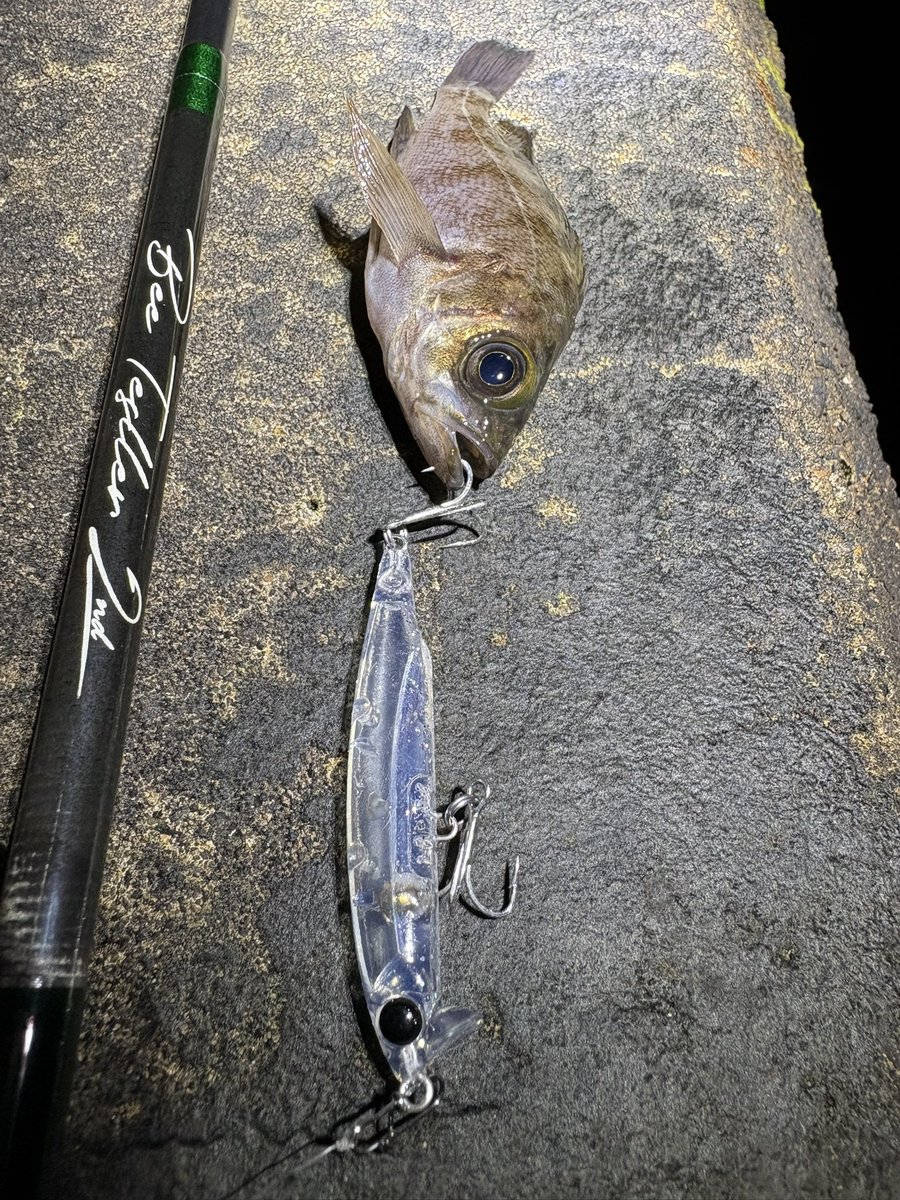 さや魔 tweet media