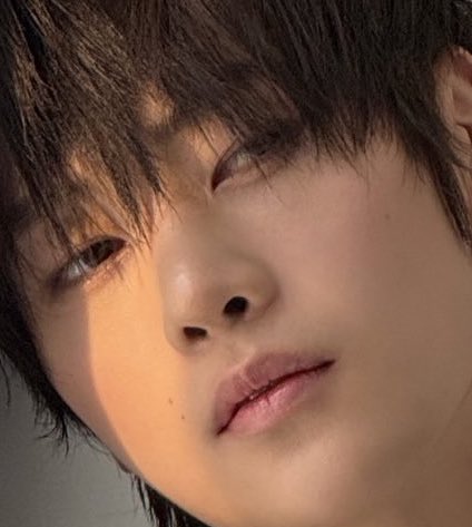 ollie!🐞🍀 tweet media