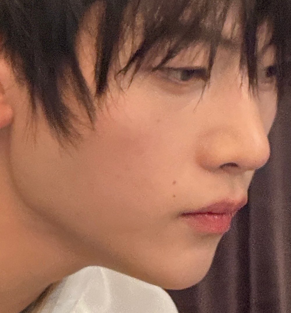 ollie!🐞🍀 tweet media