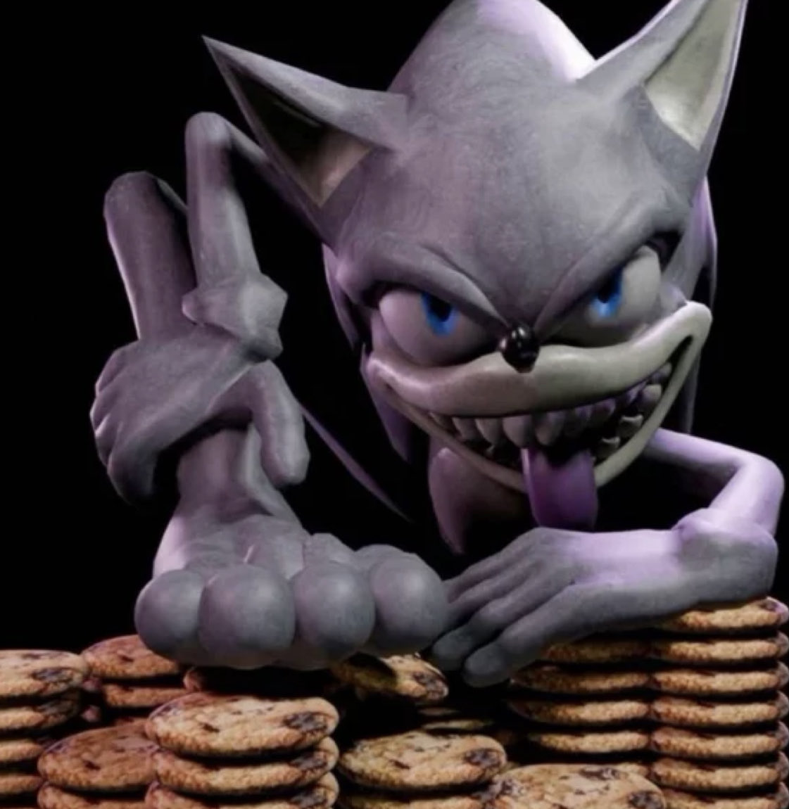 j’ai fait des cookies