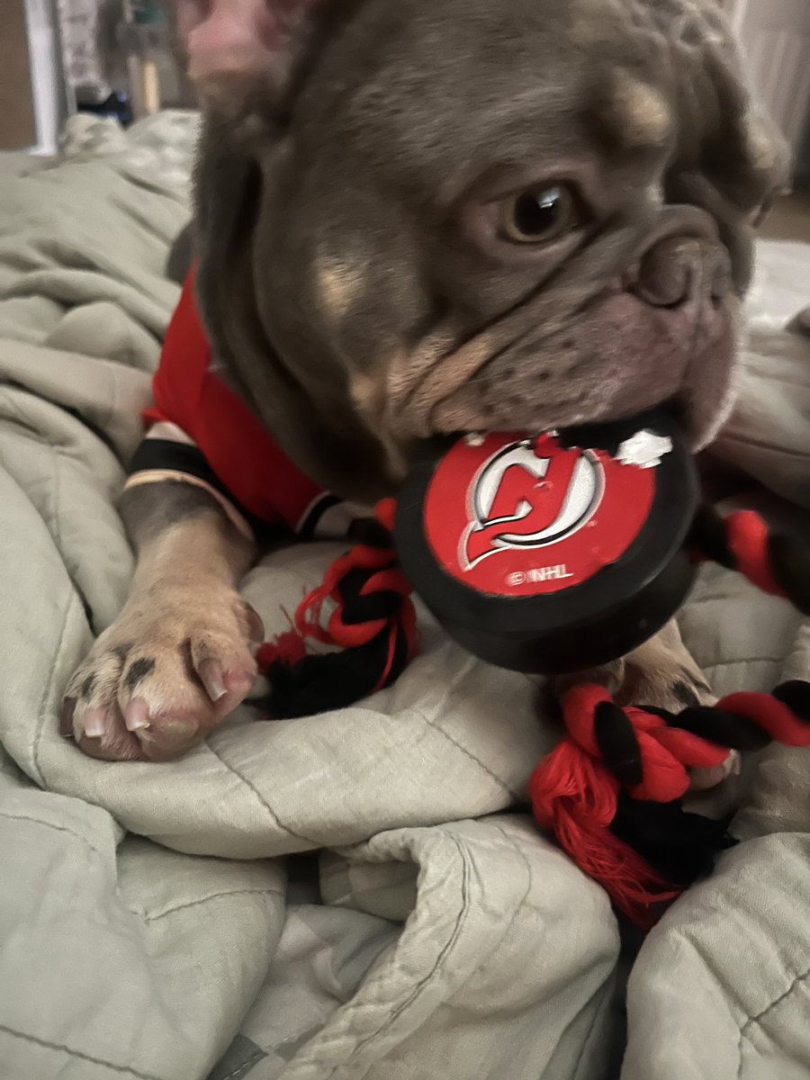 wildin‼️ (@ih8beingagemini) on Twitter photo 