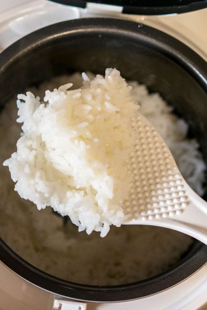 RJ | dolphin lang 🐬 tweet media