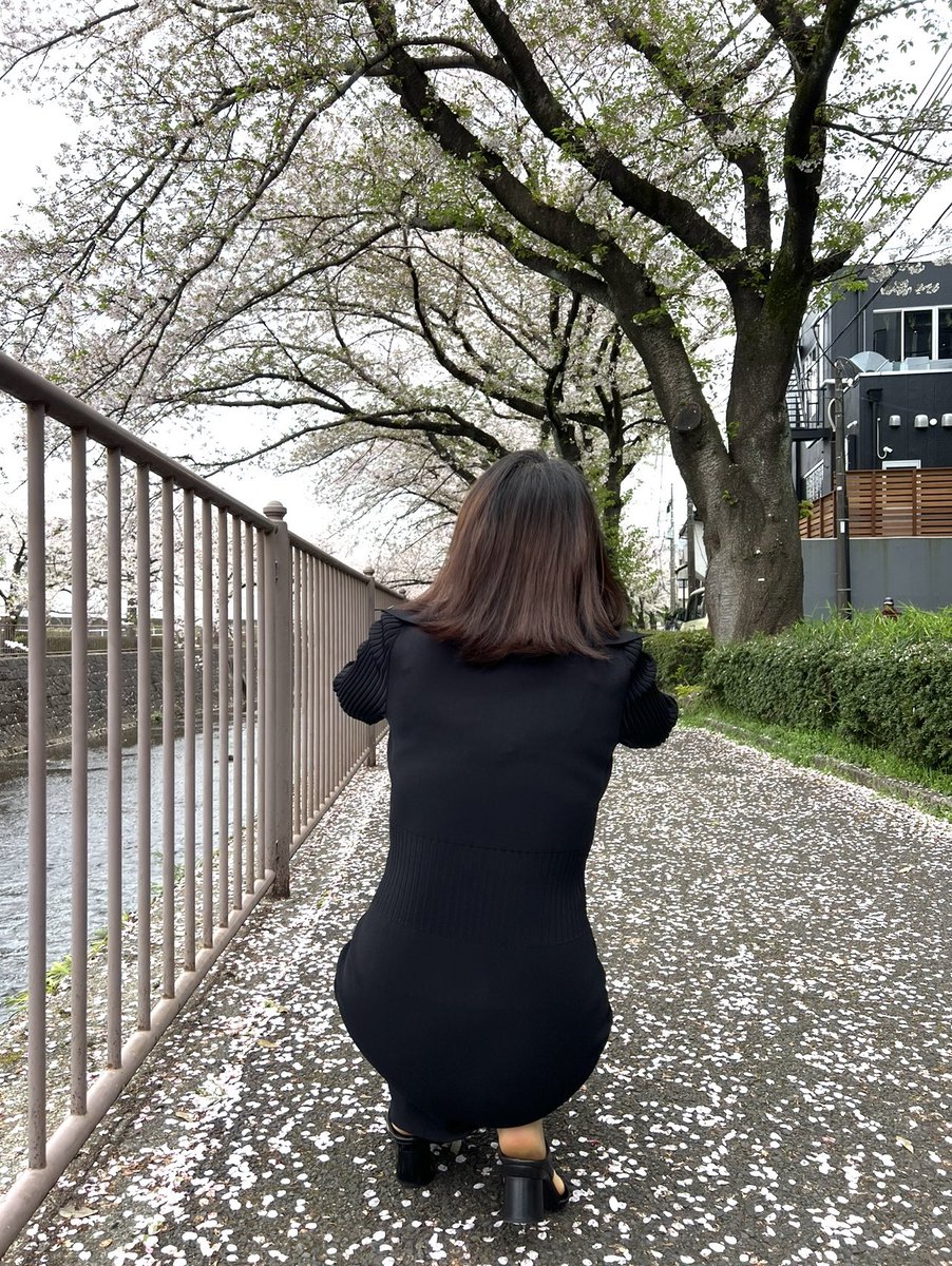 TLSW1222's tweet photo. 妻と桜
エロなし https://t.co/TsVUqBneYA