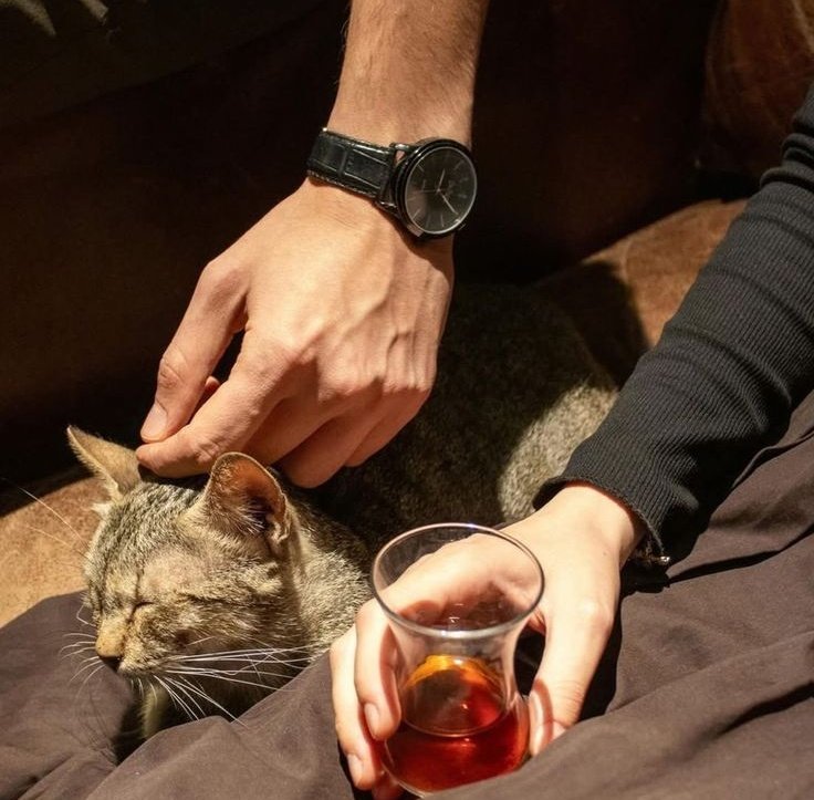 حايرونيسا tweet media