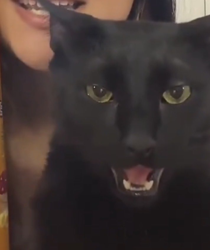 Cris Armando 🇵🇸 tweet media