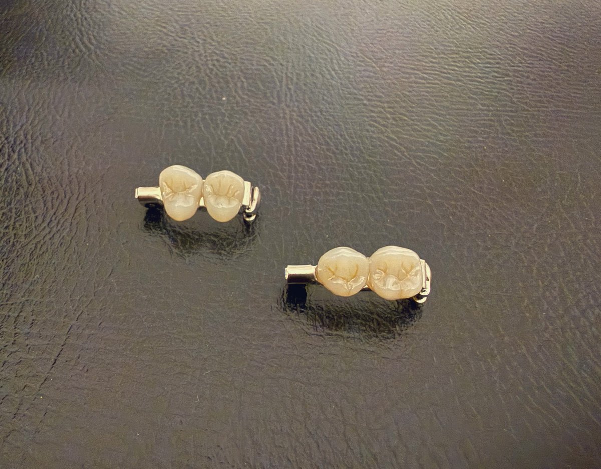 ミドリ tweet media