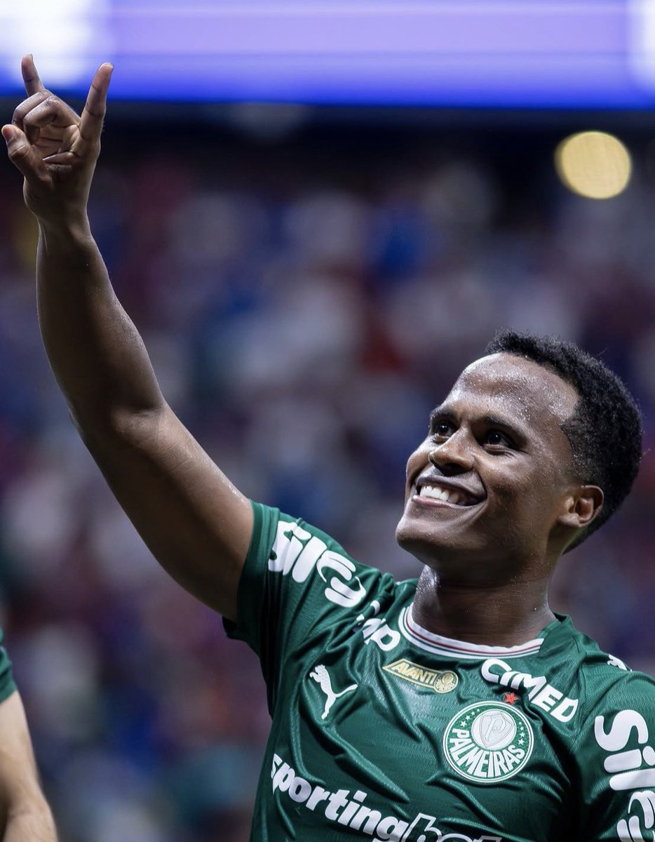 picmeiras tweet media