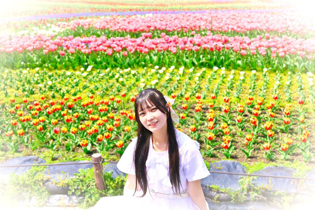 ひかり tweet media