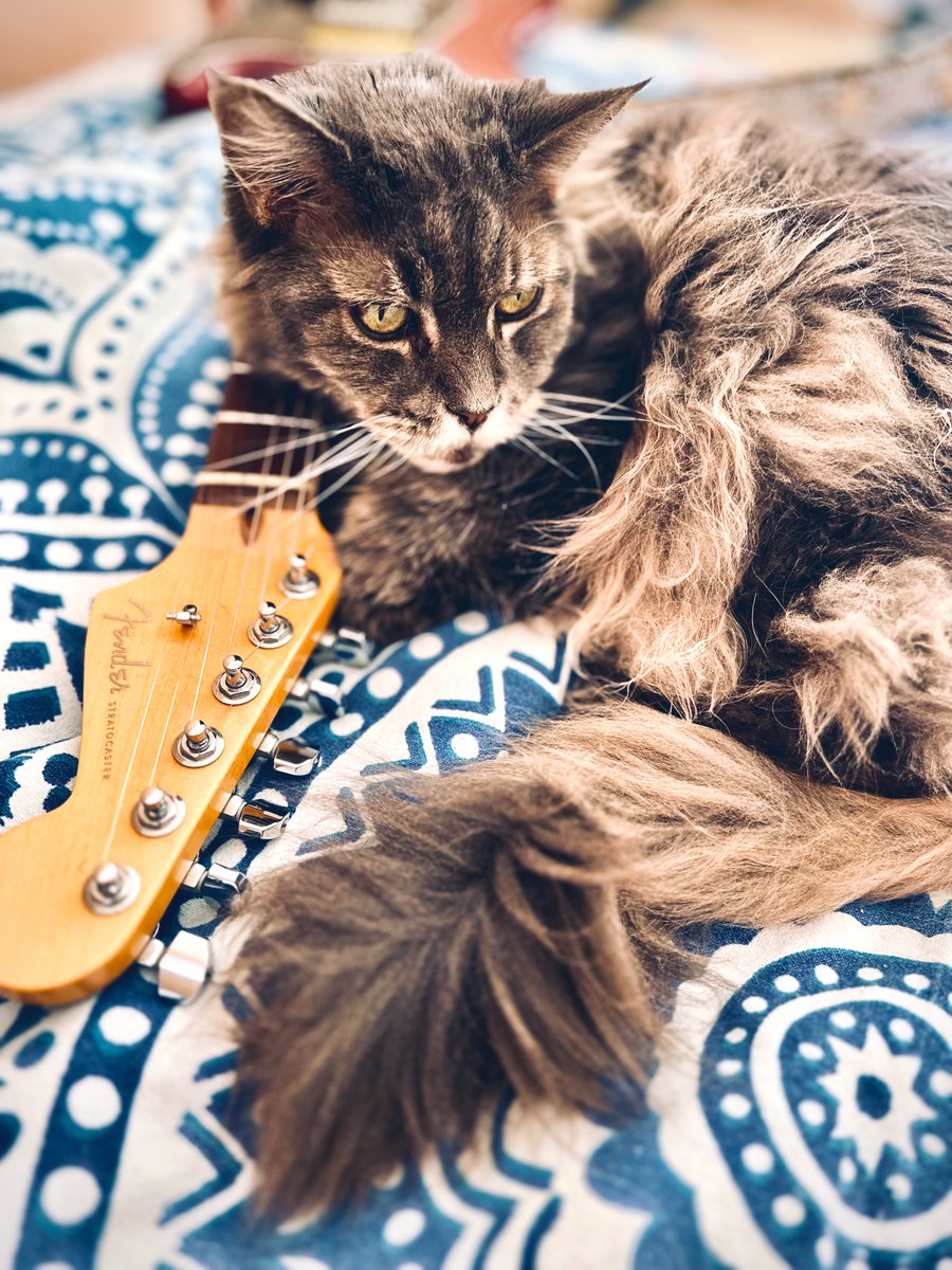 🅰️ndrei tweet media