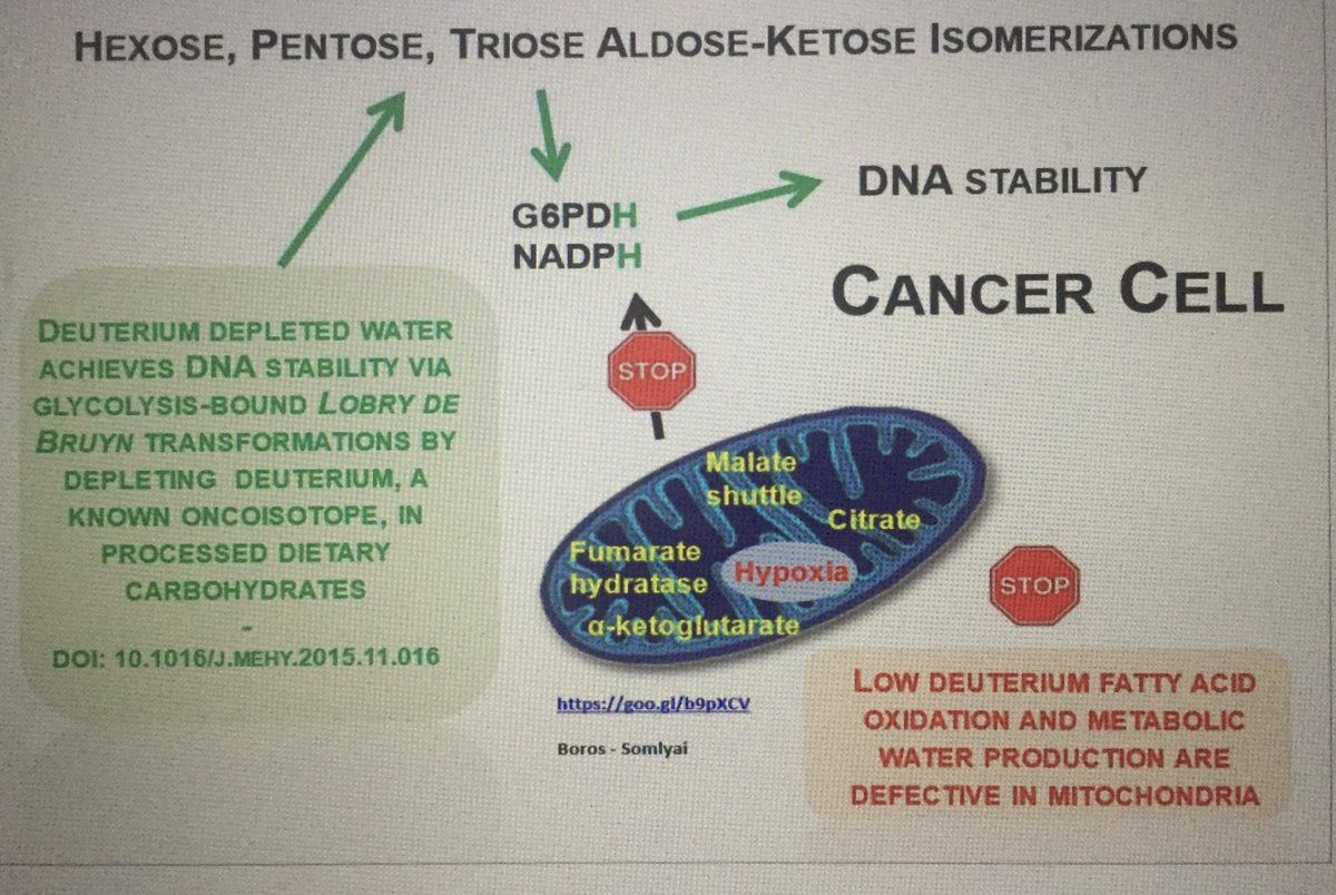 ☣️ Pleb Kruse = BTC foundationalist in exile 🟩🔆 tweet media