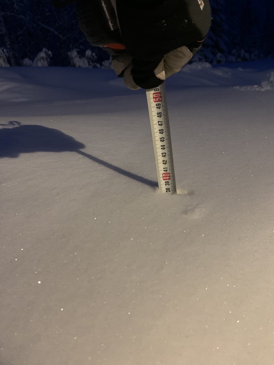 6.4.2022 

Aavistuksen keväisempää oli tänään! 😁 #takatalvi