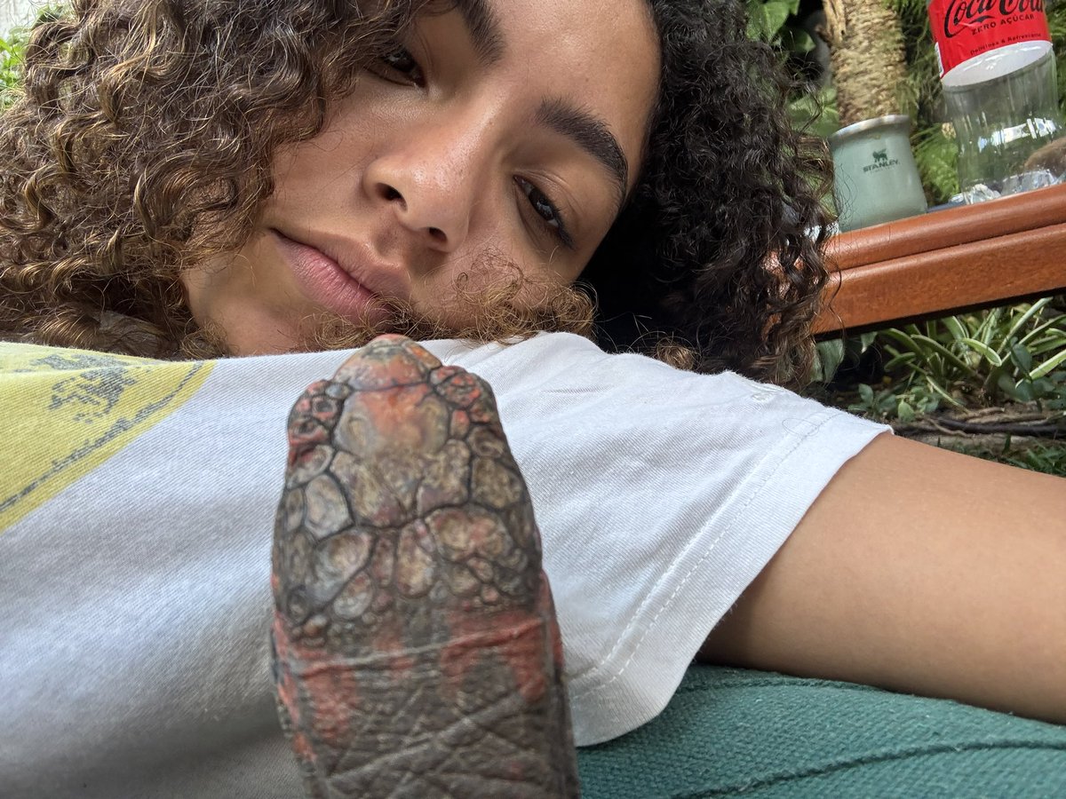 Any Gabrielly tweet media