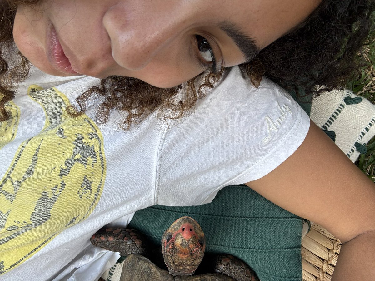 Any Gabrielly tweet media