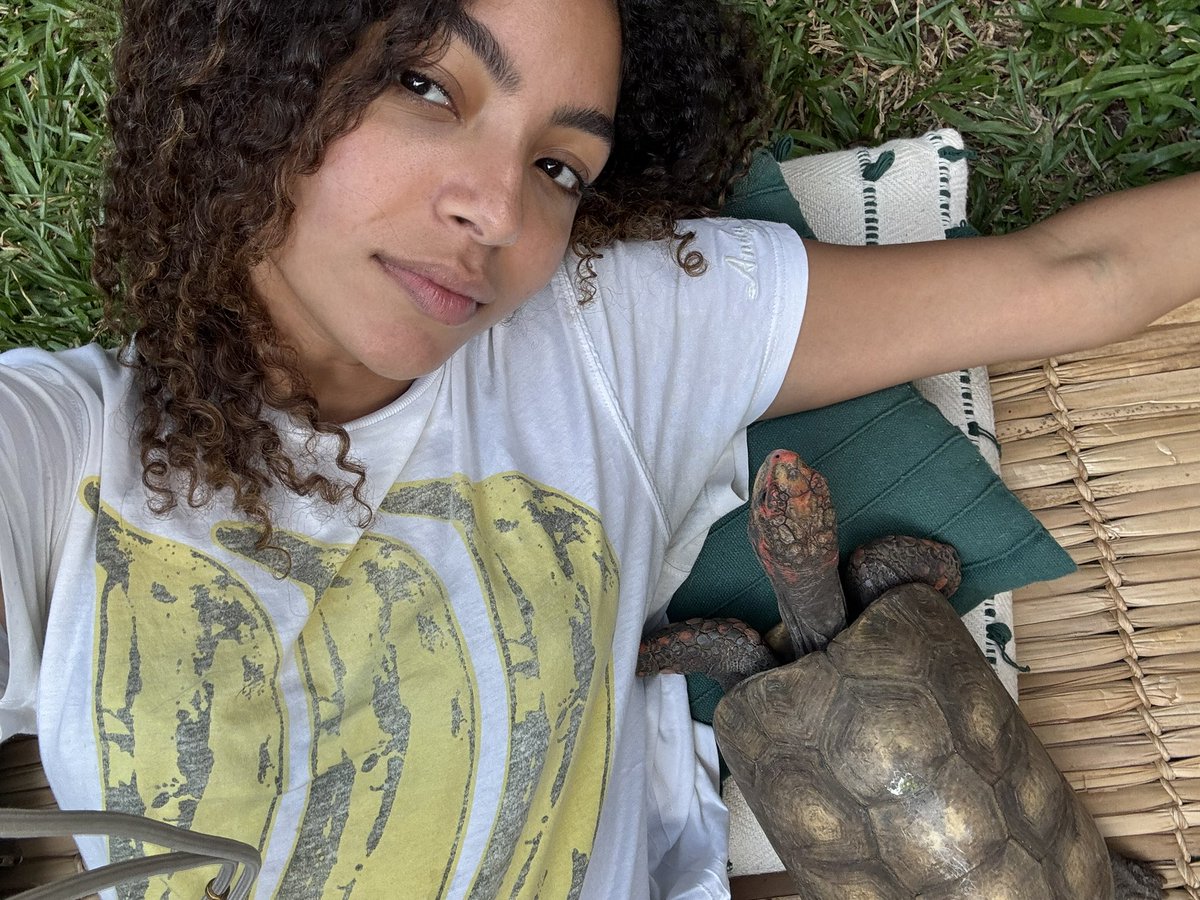 Any Gabrielly tweet media