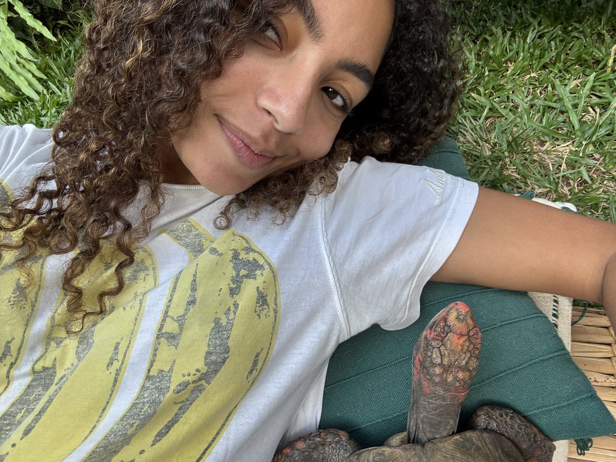 Any Gabrielly tweet media