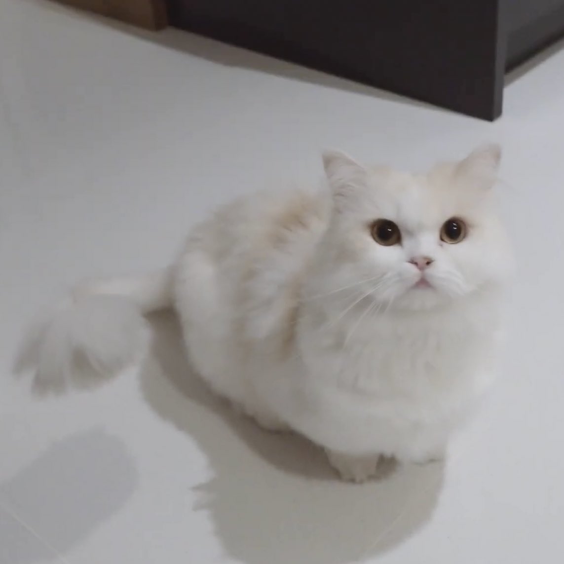 𝐈𝐞 ྀི tweet media