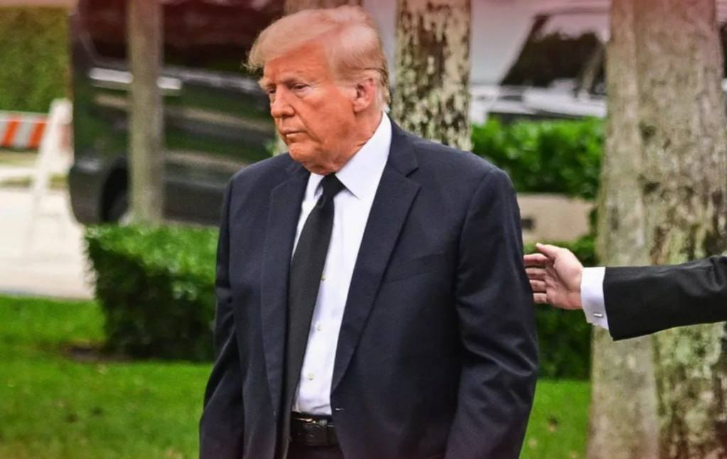 إخبارية tweet media